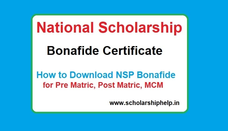 NSP Bonafide Certificate